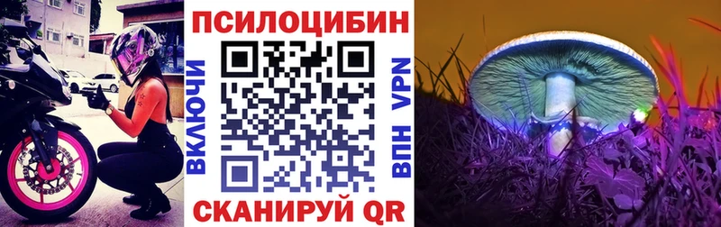 Псилоцибиновые грибы Cubensis  где продают наркотики  Тбилисская 